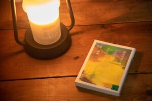 『探偵伯爵と僕』感想・レビュー・あらすじ|ちょっと変わった小説が読みたい時に
